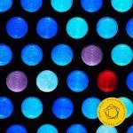 Berliner Philharmoniker: Walton - Martinů (24/48 FLAC)